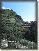 IMG_1620