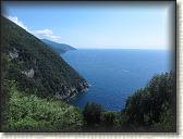 IMG_1647