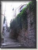 IMG_1717
