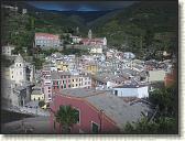 IMG_1770