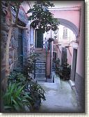 IMG_1786
