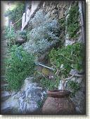 IMG_1787