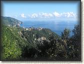 IMG_1807