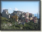 IMG_1816