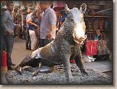 IMG_7341