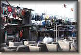 IMG_2781