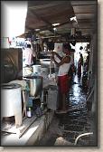 IMG_2784