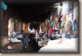 IMG_2807