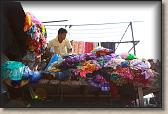 IMG_2825