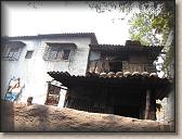 IMG_0784