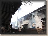 IMG_0785