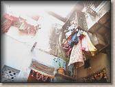 IMG_0787