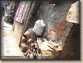 IMG_0790