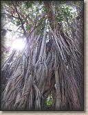 IMG_0911