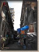 IMG_0918