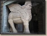IMG_0980