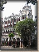 IMG_0981