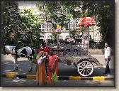 IMG_1017