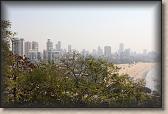IMG_2486