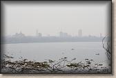 IMG_2488