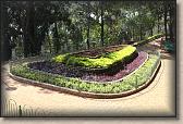 IMG_2496