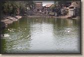 IMG_2686