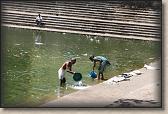 IMG_2696