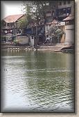 IMG_2698