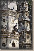 IMG_2711