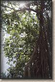 IMG_3050