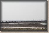 IMG_3120