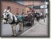 IMG_8846