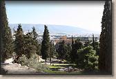 IMG_8336
