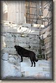 IMG_8367