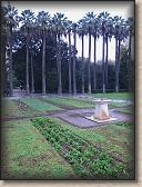 IMG_8468
