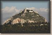IMG_8481