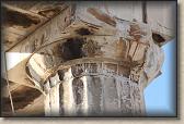IMG_8517