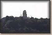 IMG_8532