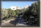 IMG_8613