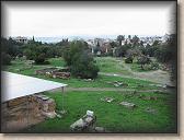 IMG_8617