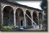 IMG_8646