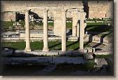 IMG_8649