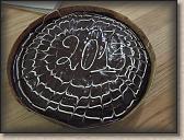IMG_8668