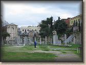 IMG_9341