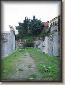 IMG_9343