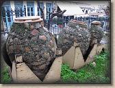 IMG_9349