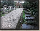 IMG_9361