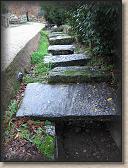 IMG_9362