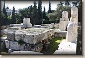 IMG_8329