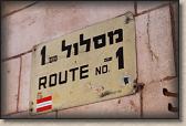 IMG_6784